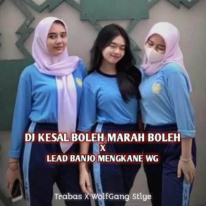 DJ KESAL BOLEH MARAH BOLEH || JANGAN LUPA BAHAGIA X LEAD BANJO KANE FYP TIKTOK VIRAL MENGKANE