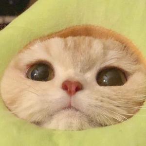 爱的就是你（翻自 王力宏）