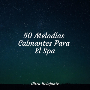 Calmante Y Acogedor