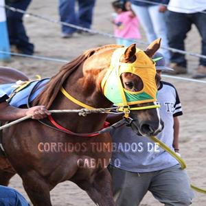 Mala Fama (Corral Chico hernan)