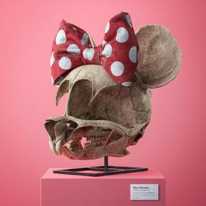 Russ-Russ-坦白说（Leo J remix）