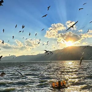 在月光下寻找归途