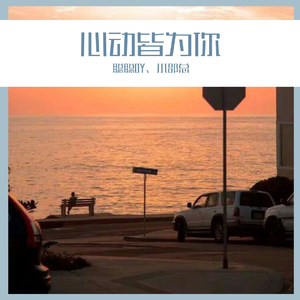 心动皆为你