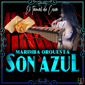 El Viejo Del Sombreron