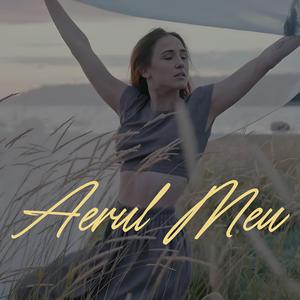 Aerul Meu