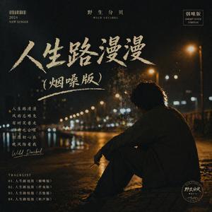 人生路漫漫(烟嗓版)