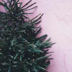 Berry Merry Christmas
