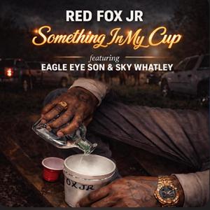 Something In My Cup (feat. EagleEyeSon & Sky Whatley) (Radio Edit)