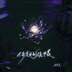 你是我的镜中花