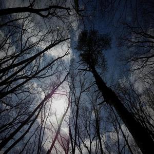 they will not follow forever