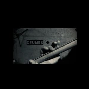Crumbs