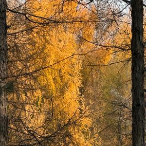 爱是共同撑一把漏雨的伞