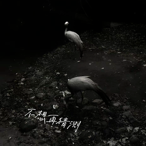 不想再猜测Ft.BrokenEcho（Prod.Jeston）