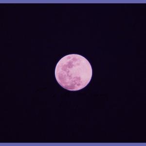 王极-为什么你不爱我（CatLee remix）