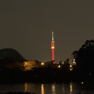 孤独不是没人陪