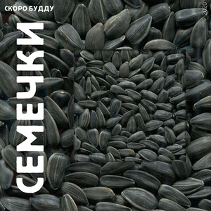 Семечки
