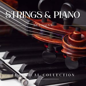 A German Requiem, Op. 45 (ii)