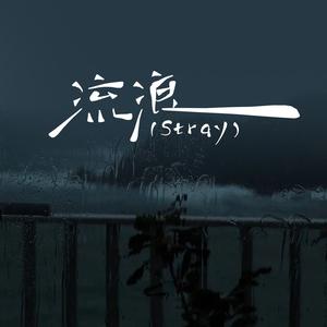 流浪 (Stray)
