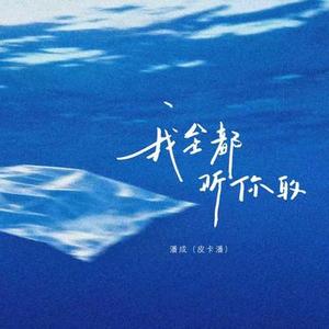 我全都听你的 (DJ琦琦版)降调版