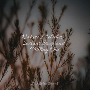 Echoes of Cosmic Secrets