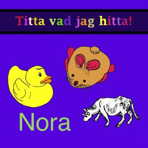 Upptäcktsfärd (Nora)
