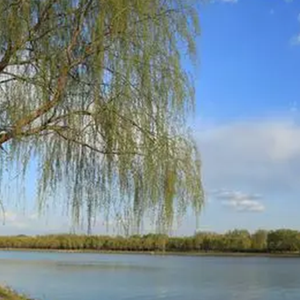 别为不爱你的人掉眼泪