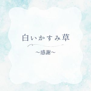 白いかすみ草ー感謝