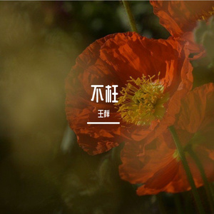 不枉