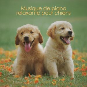 Bonne vie de chien