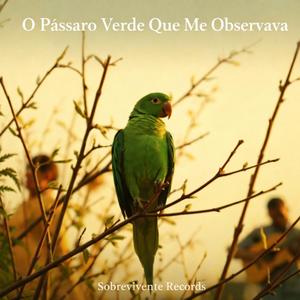 O PÁSSARO VERDE QUE ME OBSERVAVA