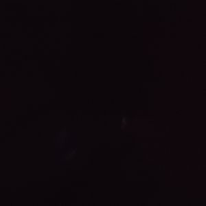 熊李李耶耶包！