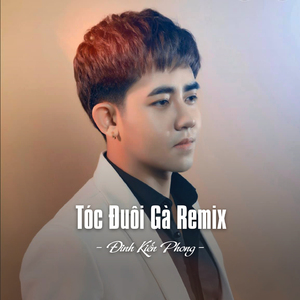 Tóc Đuôi Gà (Remix)