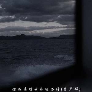 你的柔情我永远不懂 (男声版)