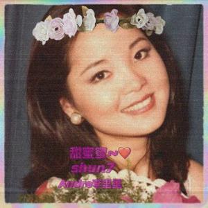 邓丽君-甜蜜ღ甜甜蜜蜜（vinyl）（Andre李里里 / shun7 remix）