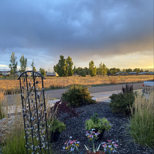 Weird and Wacky...but Mom Likes It!