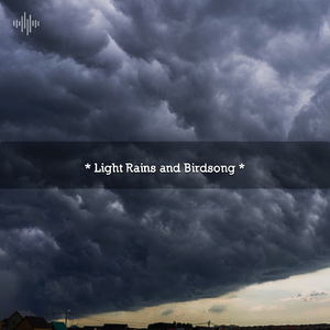 Rainy Day Rhythmic Patterns