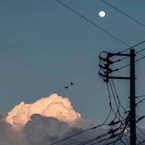 tiamo cover任媚爽