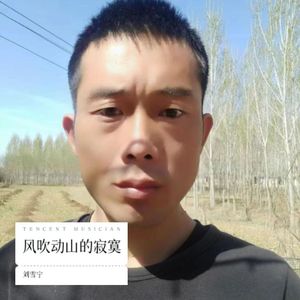 风吹动山的寂寞