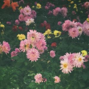 想念拟人化（Cover）