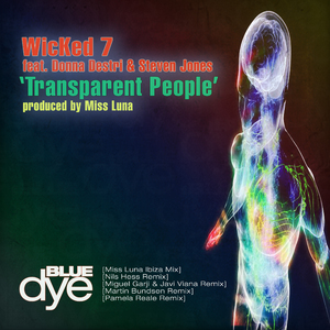 Transparent People (Pamela Reale Remix) [Feat. Donna Destri & Steven Jones]