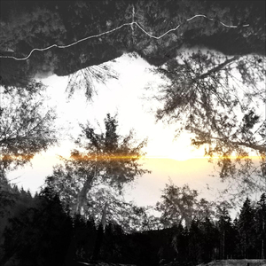The Setting