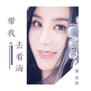 带我去看海 (DJ何鹏版)