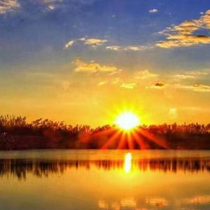 一个人在深夜买醉