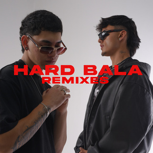 The Master Of Bullet (Remix)