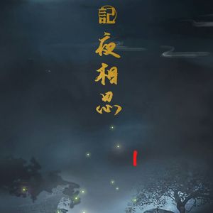 《记夜相思》
