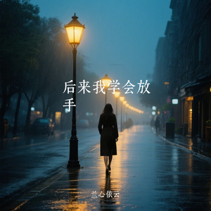 后来我学会放手
