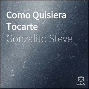 Como Quisiera Tocarte