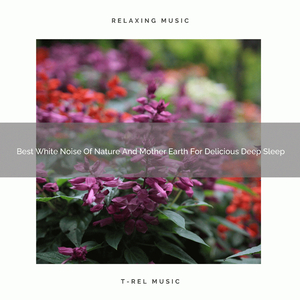 Beautiful Noises Of Weather And Animals For Delicious Sleep