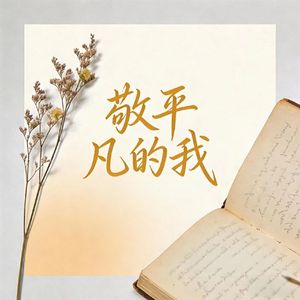 敬平凡的我