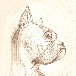 Me Surt Aigua pels Ulls